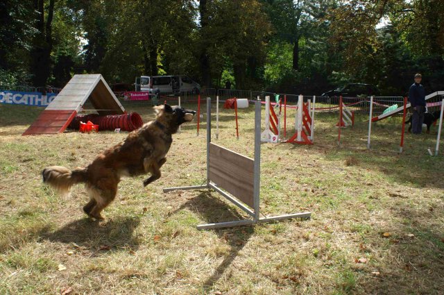 foire-haricots 2011-09-17et18